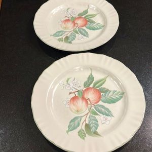 11" Dinner Plate - Mikasa Country Classics Norfolk (Set of 2)